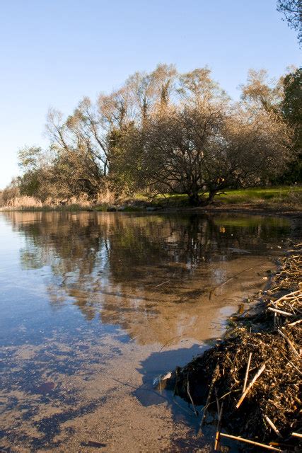 Lough Ennell in spring © Jason Andreoli :: Geograph Ireland