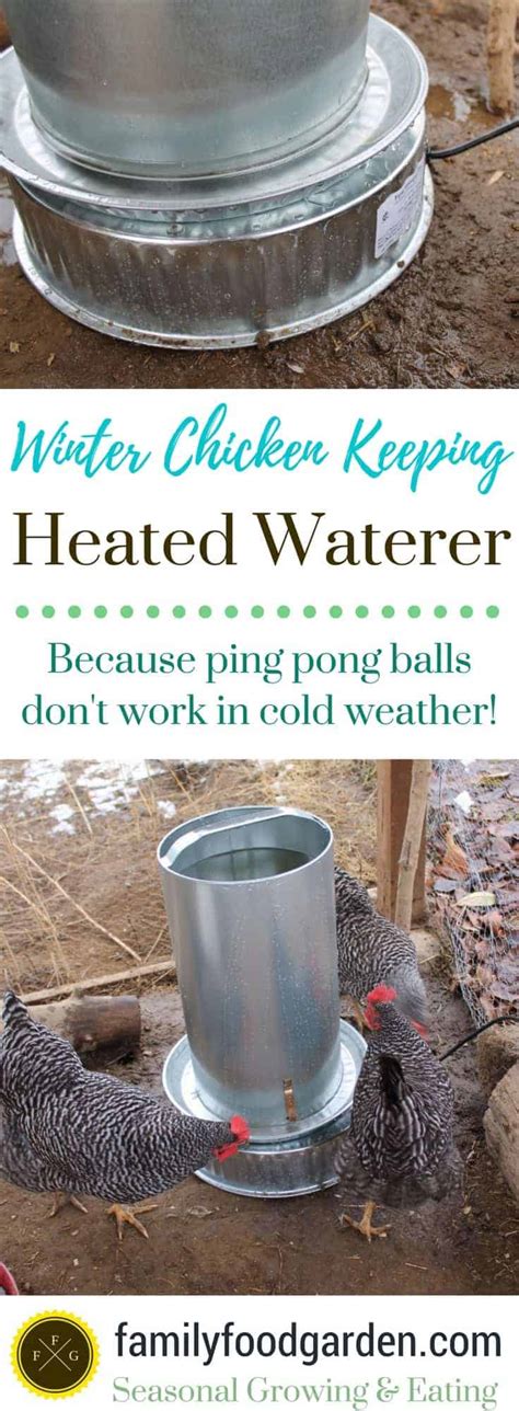 Heated Chicken Waterer | Family Food Garden