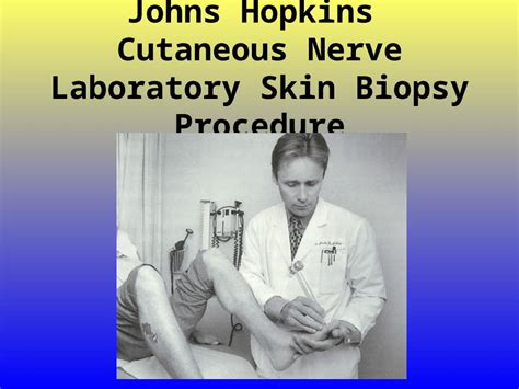 (PPT) Johns Hopkins Cutaneous Nerve Laboratory Skin Biopsy Procedure - DOKUMEN.TIPS