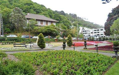 Wellington Botanic Gardens (New Zealand) Entry Fee, Cafe