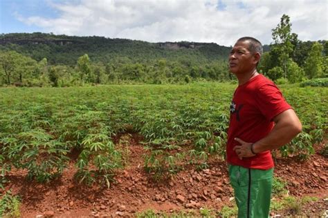 No land, no fish: Mekong community in northeast Thailand struggles against a double-threat ...