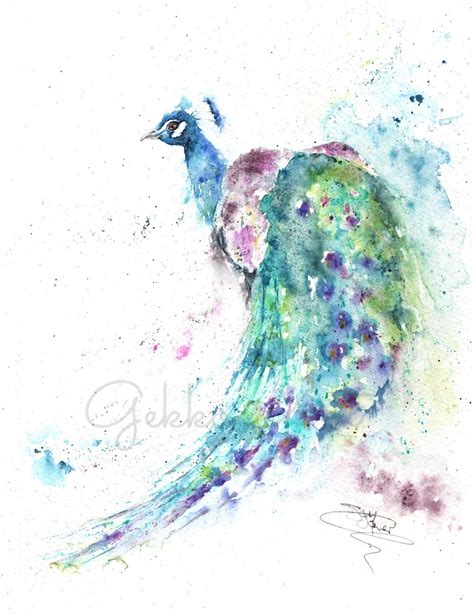 Peacock Watercolour Art Print by Wildlife Artist Sandi Mower