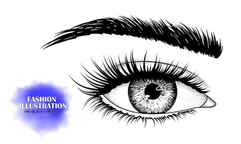 Premium Vector | Black and white hand-drawn image of eye