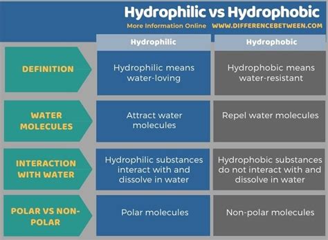 Difference Between Hydrophilic and Hydrophobic | Compare the Difference ...