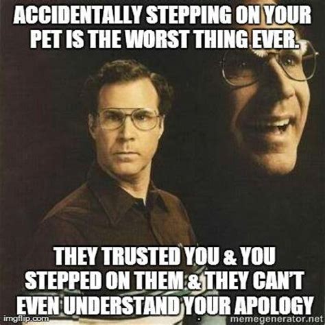 89 best images about Will Ferrell Memes on Pinterest | Facebook, Too ...