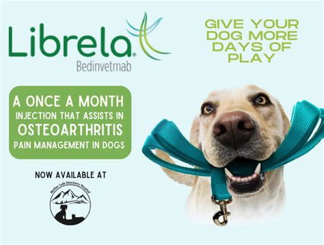 Librela | Mother Lode Veterinary Hospital