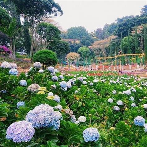 Selecta Garden Malang East Java | Taman, Kota, Tempat ibadah