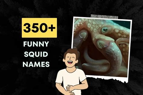 350+ Funny Squid Names (Cool & Hilarious)