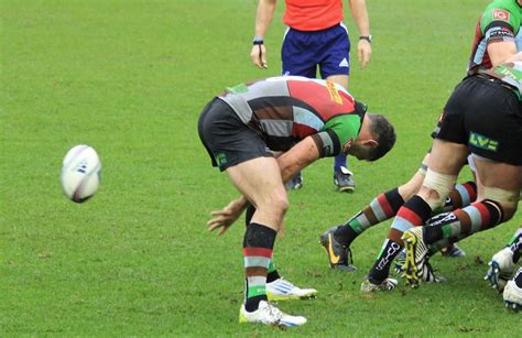 Harlequins | Rugby team, Rugby, Teams