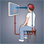 What is Neurofeedback/Biofeedback? - InMindOut Emotional Wellness Center