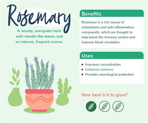 Plants with benefits | Love The Garden