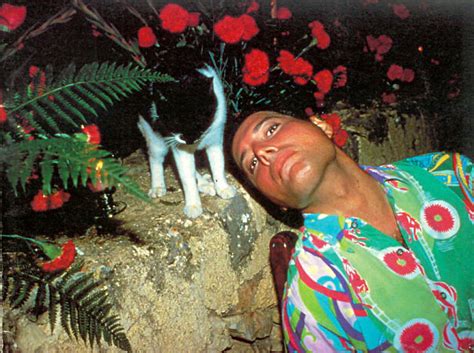 20 Vintage Photos Of Freddie Mercury And His Cats That Show His Love For Them Was Unconditional ...