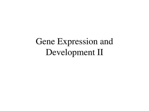 PPT - Gene Expression and Development II PowerPoint Presentation, free ...