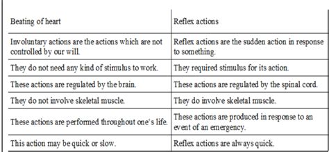 How is the mode of action in beating of the heart different from reflex ...