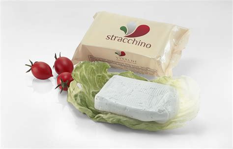 STRACCHINO - VIVALDI cheeses - Italian excellence in the world