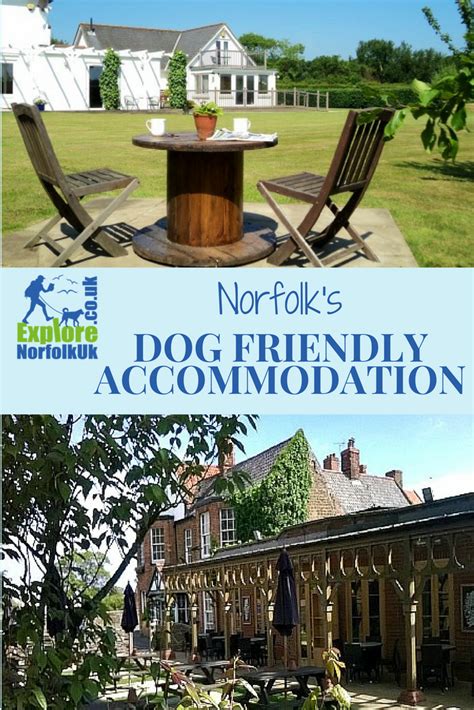 Dog friendly accommodation to choose from - hotels, pubs and cottages all over Norfolk with ...