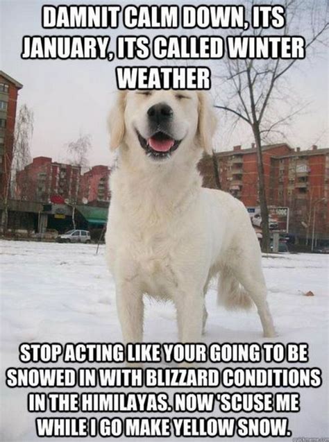 55 Funny Winter Memes That Are Relatable If You Live in the North