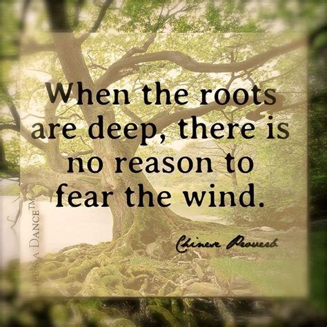 Deep Roots Quotes. QuotesGram