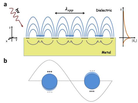 Schematic diagrams illustrating (a) a surface plasmon polariton (or... | Download Scientific Diagram