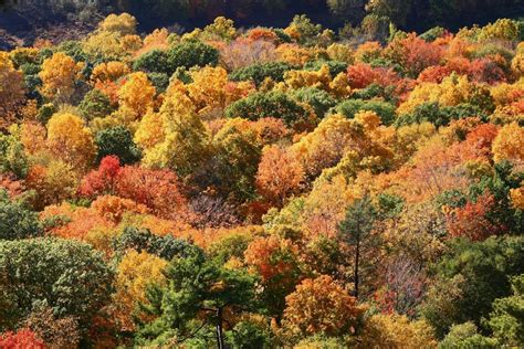 Best Hiking Trails in CT for Fall Foliage | New England Today