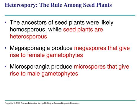 Plant Diversity II: The Evolution of Seed Plants - ppt download