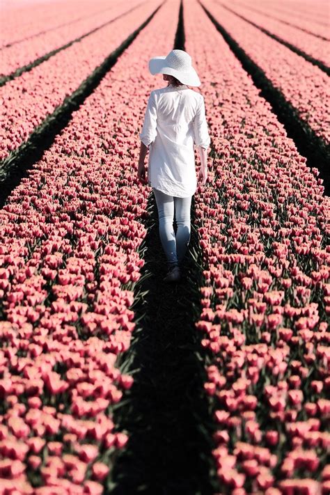 LEIDEN & tulip paradise Lisse: by Simone Wittgen on @stellerstories | Nature destinations ...