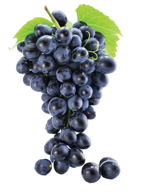 Grapes PNG Image - PurePNG | Free transparent CC0 PNG Image Library