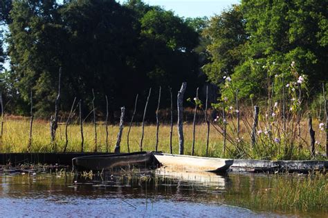 Okavango Delta: Mokoro Day Tour | GetYourGuide