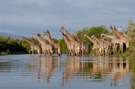 Selous Game Reserve | Tanzania safaris | Expert Africa