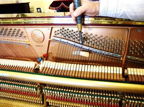 » PIANO TUNING SERVICE SYDNEY