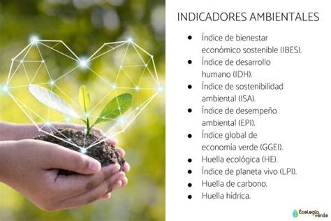 INDICADORES AMBIENTALES: qué son, tipos y ejemplos