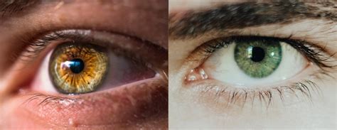 Hazel Eyes Vs Green Eyes | What Are The Hazel Eyes And Green Eyes Difference? | Randomfunfacts