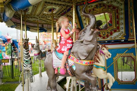 National Carousel Day is July 25. Where are the carousels in Ohio?