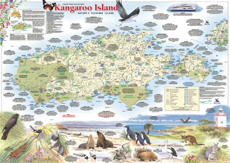 Kangaroo Island Map South Australia Flatearth - Maps, Books & Travel Guides