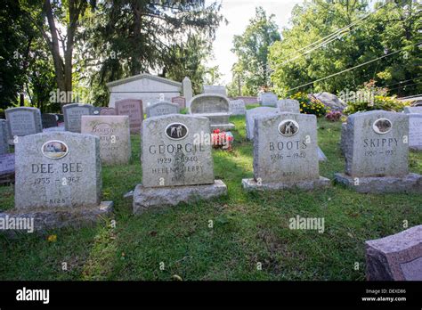 Pet cemetery hi-res stock photography and images - Alamy