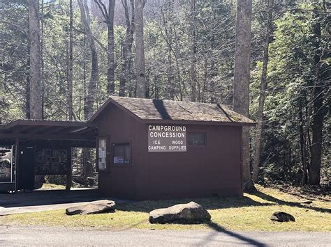 Elkmont Campground Smoky Mountains - CaddyWampus Life