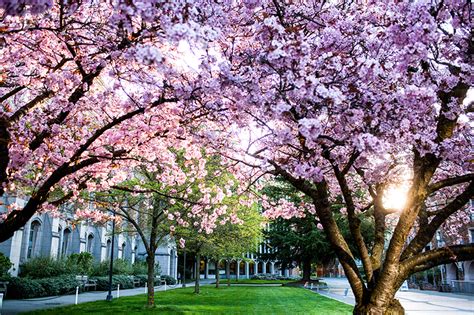 University of Washington-Seattle Campus: #13 in MONEY’s 2017-18 Best Colleges Ranking