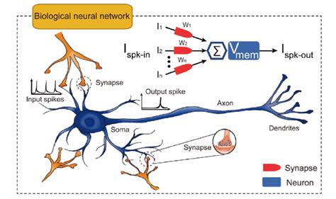 The skyrmionic neuromorphic computing devices. (a) Illustration of a... | Download Scientific ...