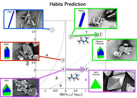 Molecular Modelling & Engineering Group | Molecular Modelling & Engineering Group - UCL ...