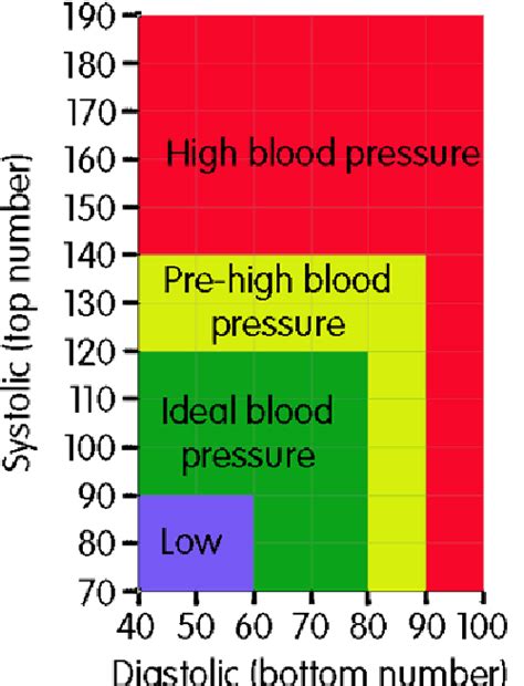 What Does The Bottom Number Of Blood Pressure Mean Hot Sale | ststephen-pc.gov.uk