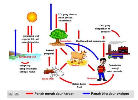 Sumber Energi Berikut Yang Tidak Melepaskan Karbon Dioksida Adalah ...