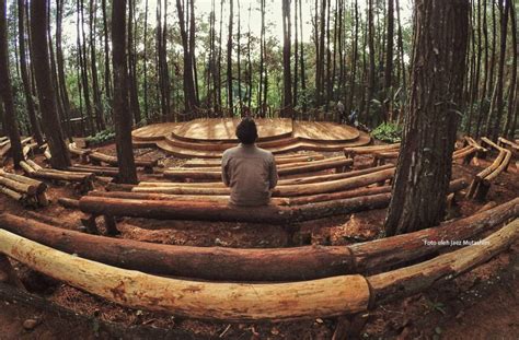 Hutan Pinus Imogiri Sudah Terlalu Ramai? Coba Main ke Hutan Pinus Suwanting