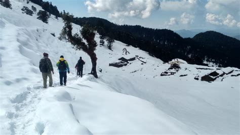 Chopta Tungnath Trek ( Uttarakhand) - Tripoto