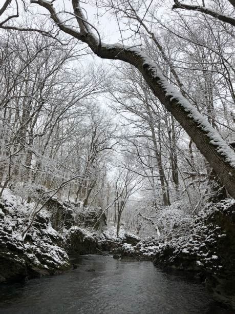 Snowy River National Park Stock Photos, Pictures & Royalty-Free Images - iStock