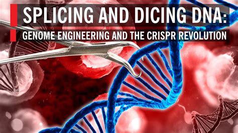 Splicing and Dicing DNA: Genome Engineering and the CRISPR Revolution - YouTube