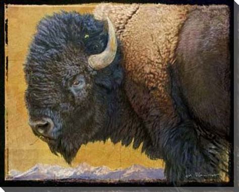 Bison Portrait I Wrapped Canvas Giclee Print Wall Art - Wall Decor - Artwork