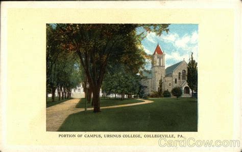 Portion of Campus, Ursinus College Collegeville, PA Postcard