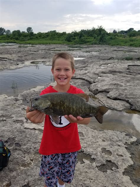 Maumee River Report, 20 July 2019