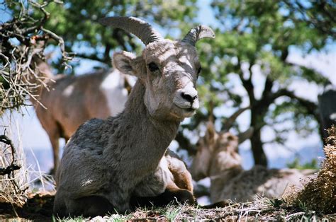 Mount Carmel National Park - Click Tours