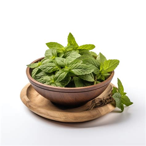 10 Health benefits of Tulsi leaves - Star Health